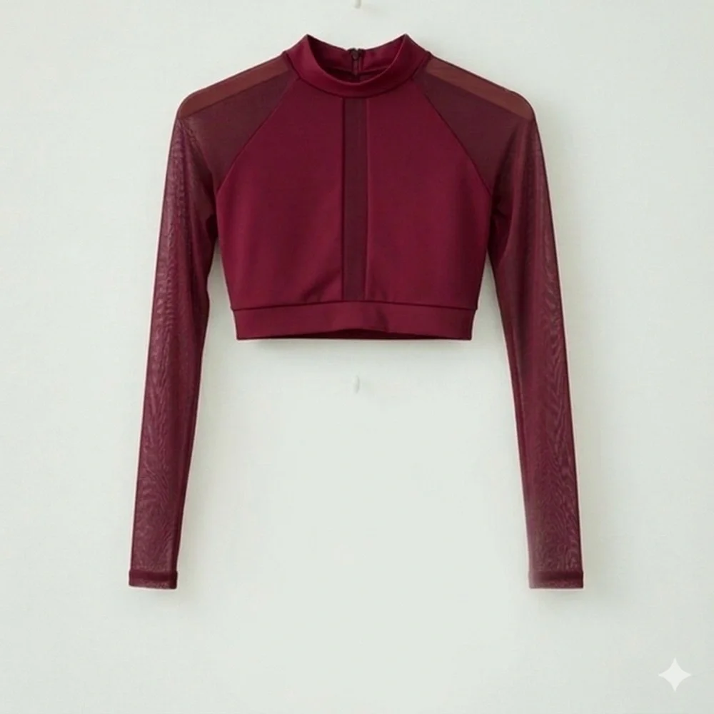 CM Baltogs Burgundy Mesh Long Sleeve Crop Top and High Waist Briefs Set